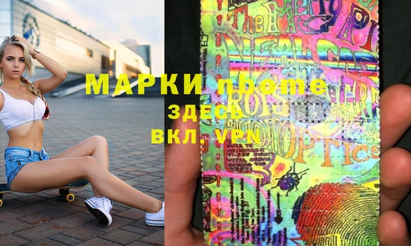 индика Сатка