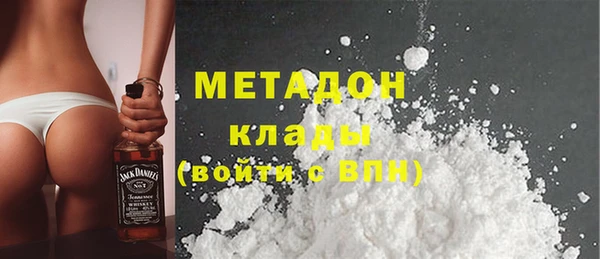 индика Сатка